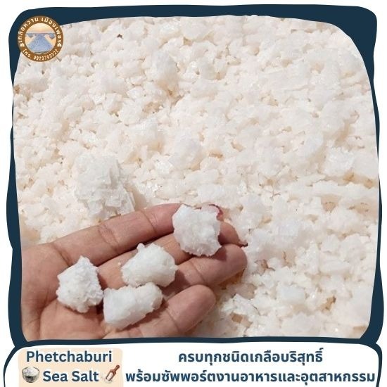 เกลือเม็ดจากนาเกลือทะเลแท้ ขายราคาส่ง