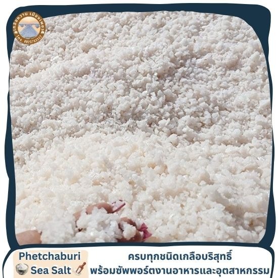 โรงงานผลิตเกลือทะเลเม็ดบริสุทธิ์เกรดพรีเมี่ยม