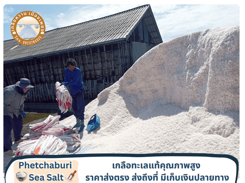 เกลือคุณภาพส่งตรงจากผู้ผลิตเกลือทะเล