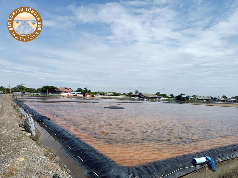 ขายส่งเกลือนาผ้ายาง ขายส่งเกลือนาผ้ายาง